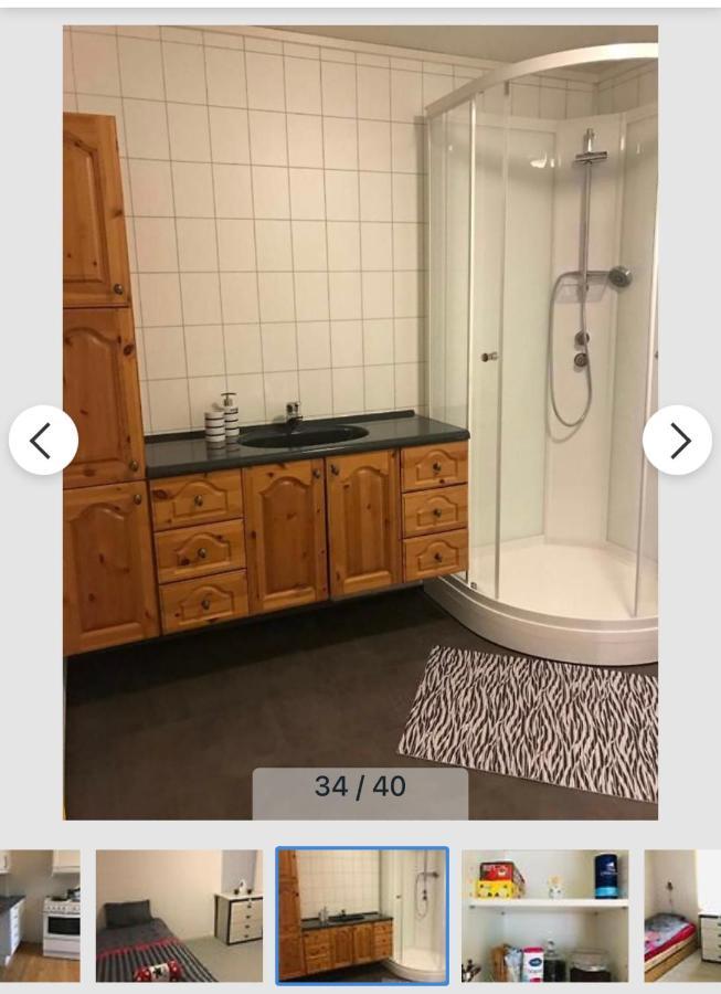 Senja Villa Gryllefjord エクステリア 写真
